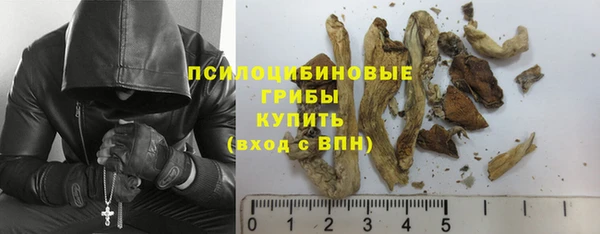 PSILOCYBIN Абинск