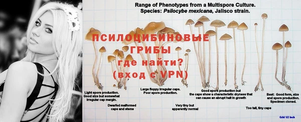 ALPHA PVP Абаза