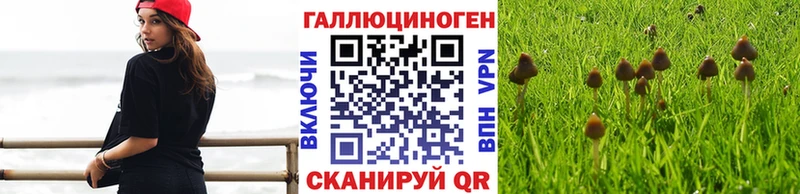 купить наркотики сайты  Лиски  Галлюциногенные грибы мухоморы 